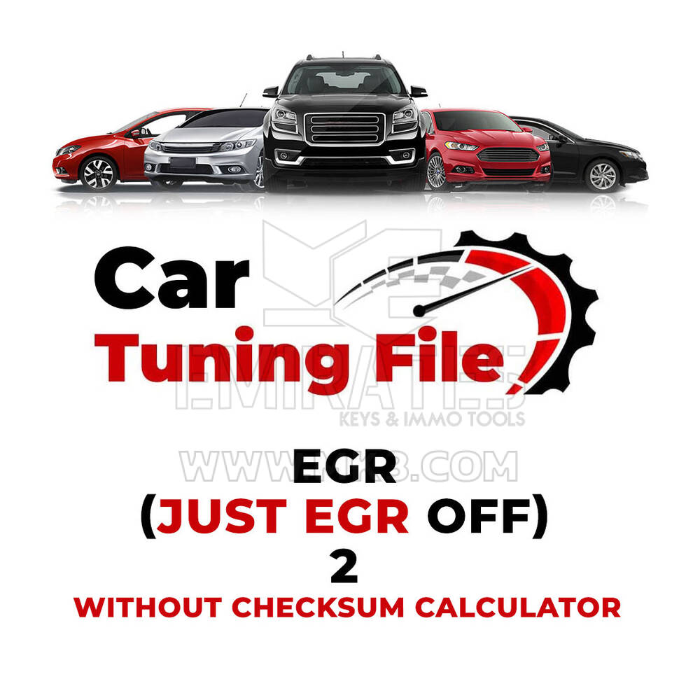 Файл настройки автомобиля EGR (просто EGR OFF) 2