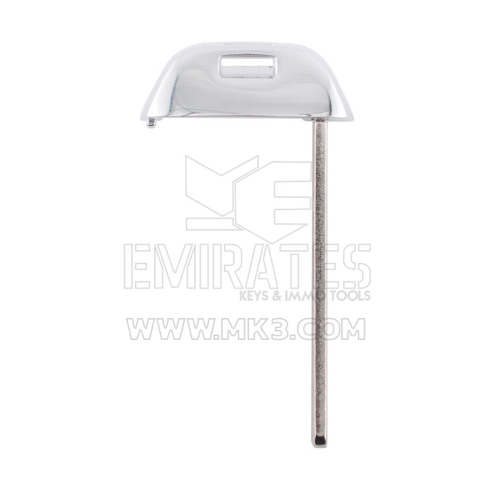 Chiave intelligente BYD 2024