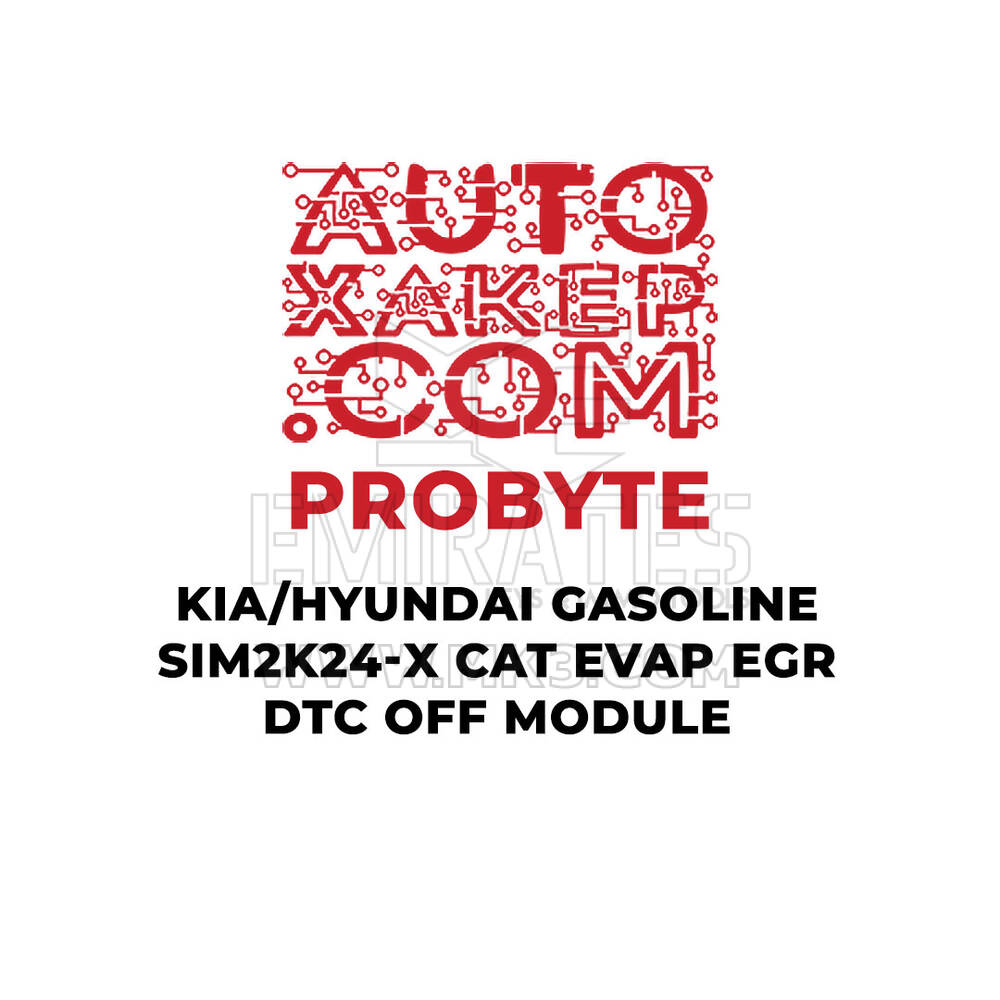 ProByte KIA / Hyundai Gasoline SIM2K-24x CAT EVAP EGR DTC off Module