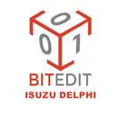 Módulo BitEdit Isuzu Delphi