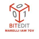 BitEdit Module Marelli IAW 7GV
