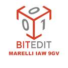 BitEdit Module Marelli IAW 9GV