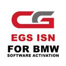 CGDI -A000000A EGS ISN para BMW (ativação de software)