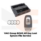 VAG Group BCM2 Servicio de archivos de sincronización de todas las claves perdidas