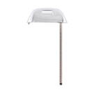 Chiave intelligente BYD 2024