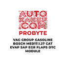 Module DTC ProByte VAG Group Essence Bosch MED17.1.27 CAT EVAP SAP EGR FLAPS