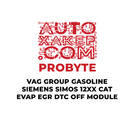 Module de désactivation du code défaut (DTC) pour moteur essence Siemens Simos 12xx CAT EVAP EGR ProByte VAG Group