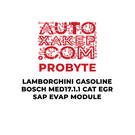 ProByte Lamborghini Gasoline Bosch MED17.1.1 CAT EGR SAP EVAP Module