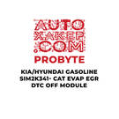 ProByte KIA / Hyundai Gasoline SIM2K-341 CAT EVAP EGR DTC off Module