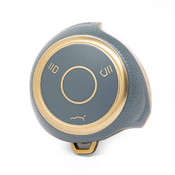 Nano High Quality Gold Leather Cover For Neta Remote Key 3 Buttons Gray Color NT-A13J