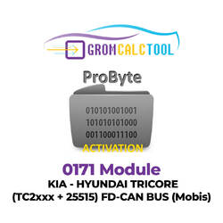 GromCalcTool 0171 Модуль KIA - HYUNDAI TRICORE (TC2xxx + 25515) FD-CAN BUS (Mobis)
