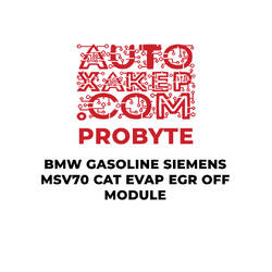 ProByte BMW Benzinli Siemens MSV70 CAT EVAP EGR KAPALI Modülü