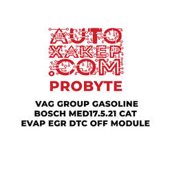 وحدة DTC OFF EVAP EGR DTC OFF من مجموعة ProByte VAG Gasoline Bosch MED17.5.21 CAT