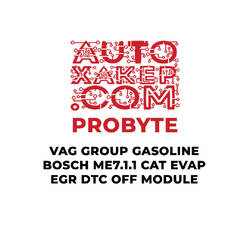 وحدة DTC OFF EVAP EGR DTC OFF من مجموعة ProByte VAG للبنزين Bosch ME7.1.1 CAT