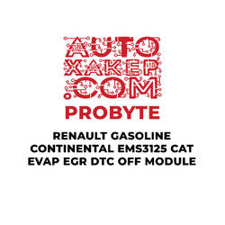 Modulo ProByte Renault Benzina Continental EMS3125 CAT EVAP EGR DTC OFF
