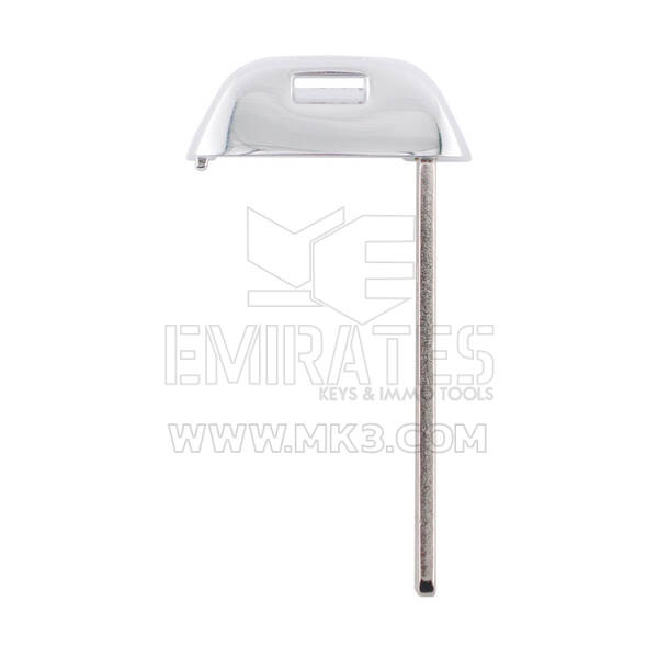 Chiave intelligente BYD 2024