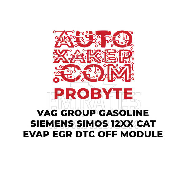 Module de désactivation du code défaut (DTC) pour moteur essence Siemens Simos 12xx CAT EVAP EGR ProByte VAG Group