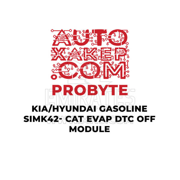 ProByte KIA / Hyundai Gasoline SIMK-42 CAT EVAP DTC OFF Module