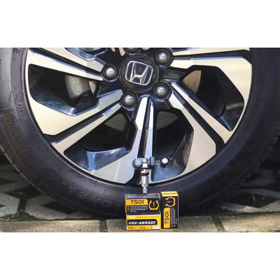 Sensor de presión de neumáticos TS01